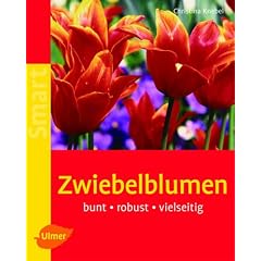 Zwiebelblumen: Bunt - robust - vielseitig