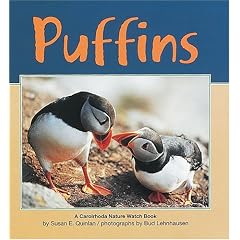 Puffins (Nature Watch (Carolrhoda Hardcover))