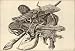 2.75 inch x 2 inch (7.5 x 5cm) Acrylic Fridge Magnet Wenceslaus Hollar - Bows, quivers, and a spear