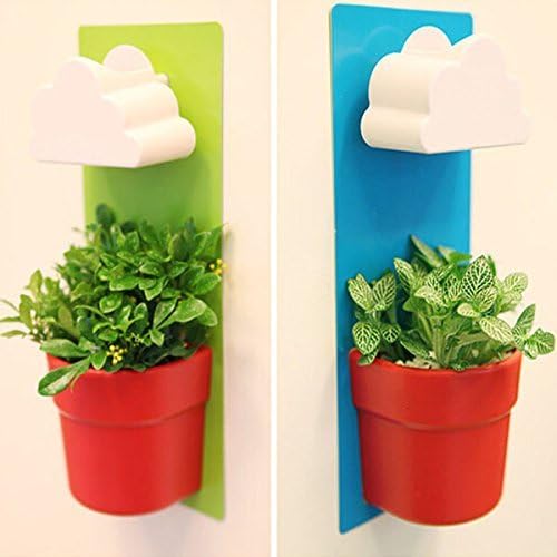 2 Pcs Big Creative Clouds Rainy Pot Wall-hung Flower Pot Set