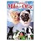 My Favorite Cat & Dog Movies!