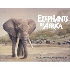 Elephants of Africa