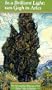 In a Brilliant Light: Van Gogh in Arles [VHS]