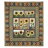 Patch Magic Queen Sun Burst Duvet Cover, 88-Inch by 98-Inch