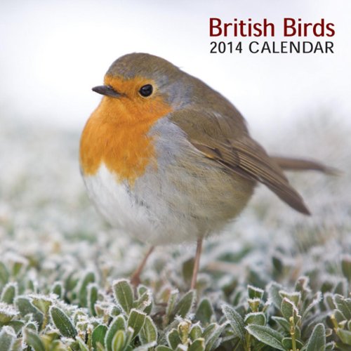 2014 Calendar: British Birds: 12-Month Calendar Featuring Fabulous Photographs Of Britain'S Best-Loved Birds