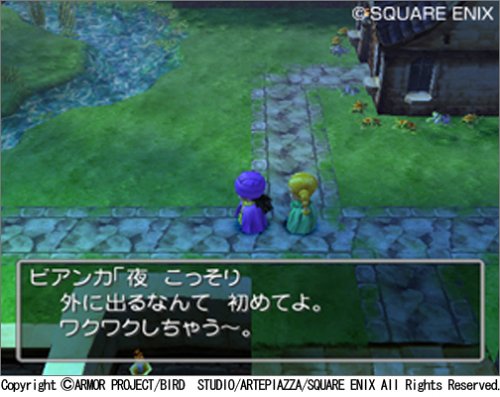 Cover image : ドラゴンクエストV 天空の花嫁 (DQ VIII プレミアム映像ディスク同梱)