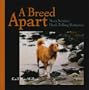 A Breed Apart: Nova Scotia's Duck Tolling Retriever