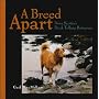 A Breed Apart: Nova Scotia's Duck Tolling Retriever