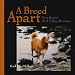 Book A Breed Apart: Nova Scotia's Duck Tolling Retriever