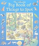 Books : The Usborne Big Book of Things to Spot (Young searches)