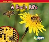 A bee's life