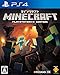 【PS4】Minecraft: PlayStation 4 Edition