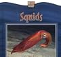 Squids (Weird Wonders of the Deep: An Imagination Library)