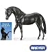 Walter Farley's The Black Stallion Model and Book Set