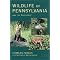 See My Pennsylvania