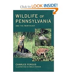 Wildlife of Pennsylvania and the Northeast