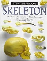 Skeleton