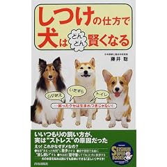 しつけの仕方で犬はどんどん賢くなる―ムダ吠え・いたずら・トイレ…困ったクセは生まれつきじゃない! (SEISHUN SUPER BOOKS)