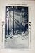 1907 Photographic Art Elias Goldensky America Trees Sun