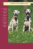 Zwei Hunde doppelte Freude: Haltung und Erziehung von zwei und mehr Hunden