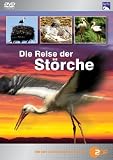 Eigenschaften Polar Film + Medien GmbH  / Die Reise der Störche