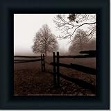 Fence In The Mist By Harold Silverman Art Print Poster Picture Framed Decor 10X10 by 