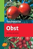 Taschenatlas Obst: 216 Arten und Sorten