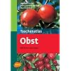 Taschenatlas Obst: 216 Arten und Sorten