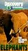 Price Comparison : The Ultimate Guide - Elephants