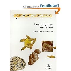 Les origines de la vie