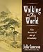 Walking in This World - The Practical Art of Creativity (Paperback)