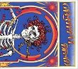 Grateful Dead (Skull & Roses)