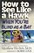 How to See Like a Hawk W...