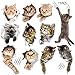 11PCS New 3D Removable Cartoon Animal Cats Large Wall Stickers, Easy to Peel Easy to Stick Safe on Painted Walls Cute Cat Decor Posters for Nursery Room Toilet Kitchen Offices
