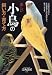 �ڤ�����Ļ�λ����������������Ļ�Υ���������������������µ��μ����ơ����䤷���ޤ� 