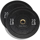 10 Pound Solid Rubber bumper Plates Black Pair