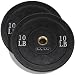 10 Pound Solid Rubber bumper Plates Black Pair
