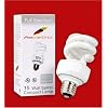 FeatherBrite 15 Watt Full-Spectrum Bulb