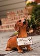 Dachshund statuary