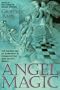 The Angel Summoner (World Religion and Magic Series)