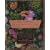 Dry Climate Gardening with Succulents (The American Garden Guides)