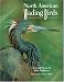 Book North American Wading Birds (Wildlife)