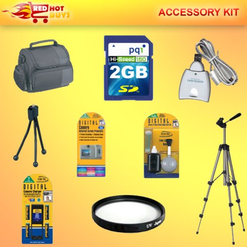 10 Piece Best Buy Accessory Kit for FUJIFILM S700 S5700
