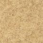 Armstrong Translations Antique Brown Vinyl Flooring