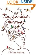 Tiny Sunbirds Far Away