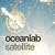 Satellite