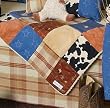Go West Crib Quilt by Glenna Jean