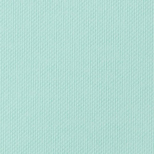 Cricut Textured Cardstock, 12Inch by 24Inch, Antiquity Arts