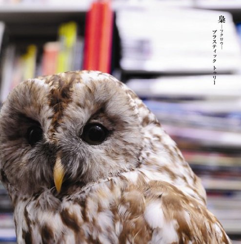 Cover image : 梟(初回限定盤A)(DVD付)