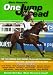 Books : One Jump Ahead: The Top National Hunt Horses to Follow for 2008/2009